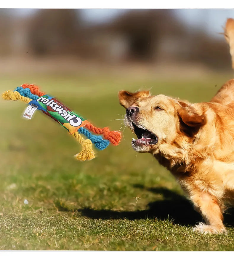 Durable Cotton Rope Chew Toy for Puppies – Braided Knot Toy for Teething & Dental Cleaning