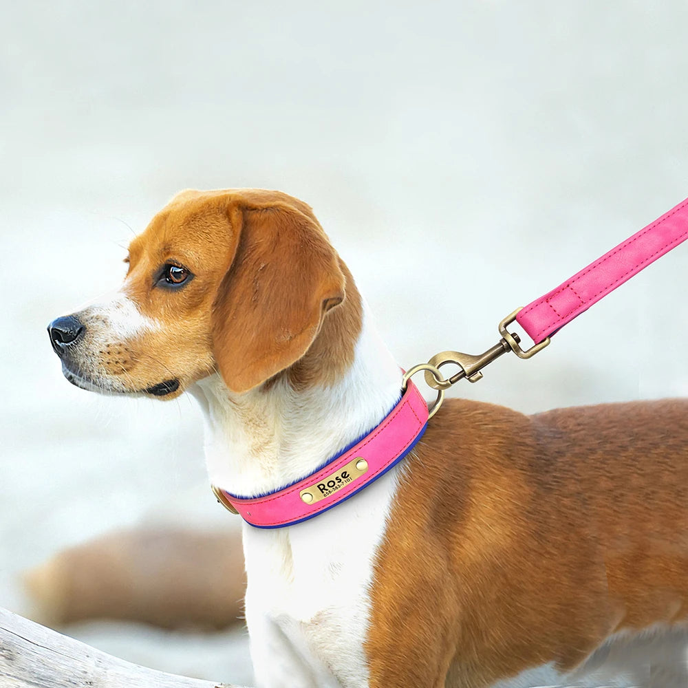 Custom Leather Dog Collar & Leash Set – Soft Padded with Engraved Nameplate
