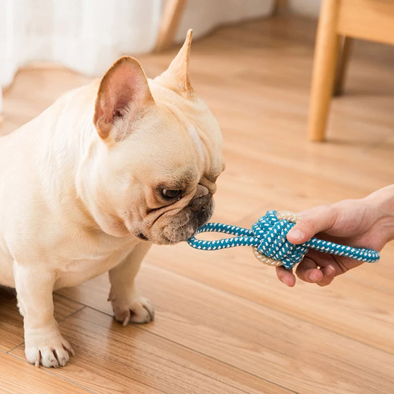 Mini Cotton Rope Dog Ball – Interactive Chew & Toothbrush Toy for Puppies