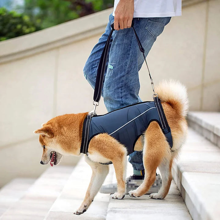 Dog Lift Harness Support Sling – Padded Aid for Disabled & Injured Dogs