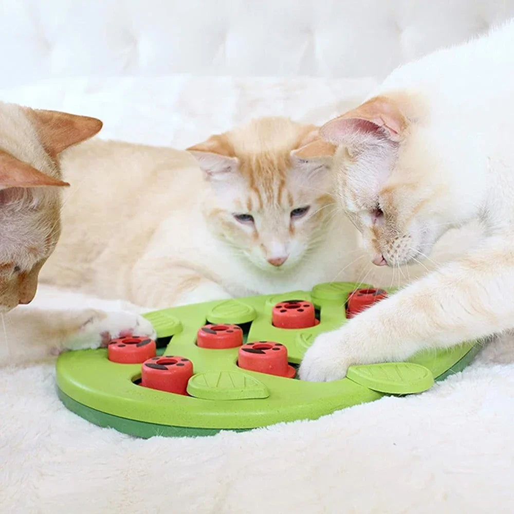 Rainy Day Puzzle & Play – Interactive Cat Treat Puzzle Toy with Scratch Board