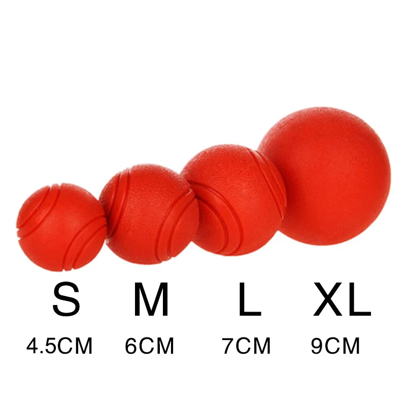 Indestructible Rubber Dog Ball – Chew-Proof Bouncy Toy (S–L Sizes)