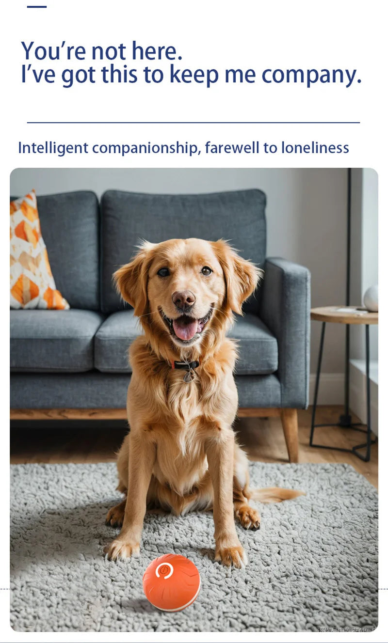 Xiaomi Smart Gravity Bounce Ball – Interactive Dog Toy Ball 🎾🐶