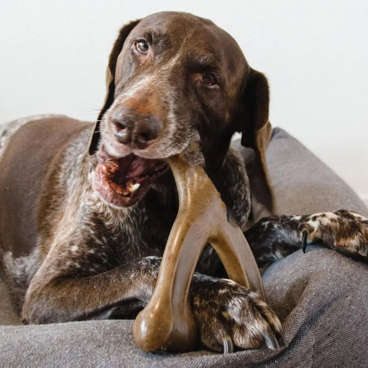 Durable Nylon Dog Chew Bone – Bite-Resistant Stick Toy 🐾🦴