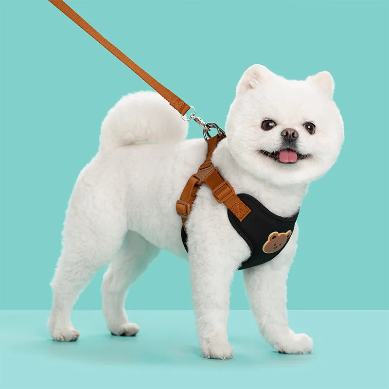 🐾 Breathable Pet Dog Harness & Leash Set – For Small & Medium Dogs & Cats