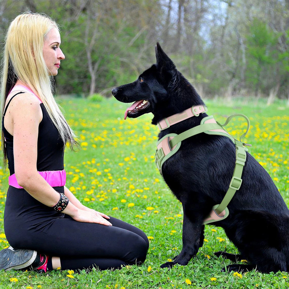 Splicing Color Dog Harness – No-Pull, Adjustable & Personalized