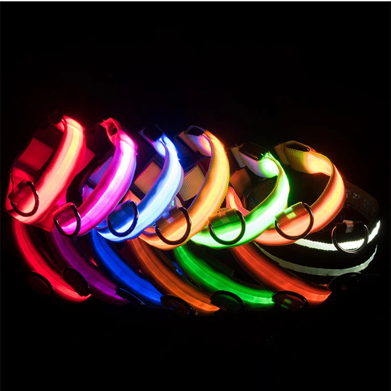USB Rechargeable LED Glowing Pet Collar – Adjustable Night Light Safety Collar for Dogs & Cats