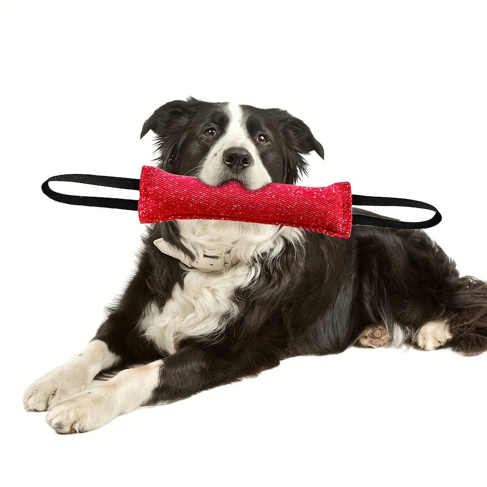 Indestructible Flying Saucer Dog Toy – Chew-Proof Rubber Ball for Aggressive Chewers, Interactive Outdoor Training Toy