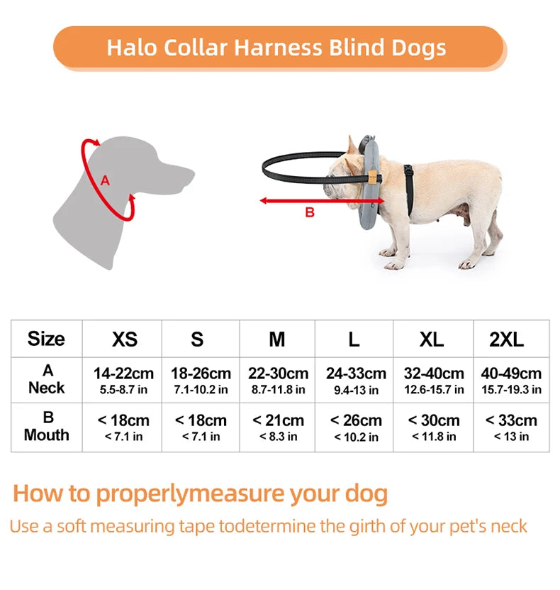Blind Dog Collar Safety Harness – Adjustable Reflective Anti-Collision Guide Ring for Blind Dogs & Cats