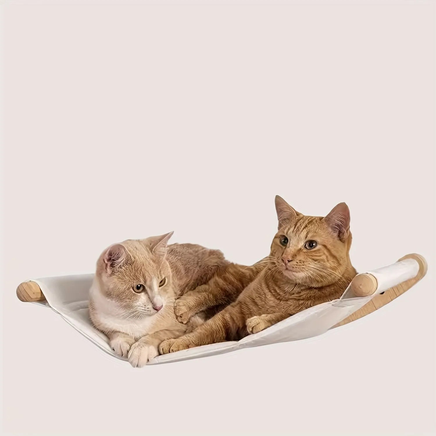 🐾 Wall-Mounted Cat Hammock with Steps – Cozy, Space-Saving Cat Shelf