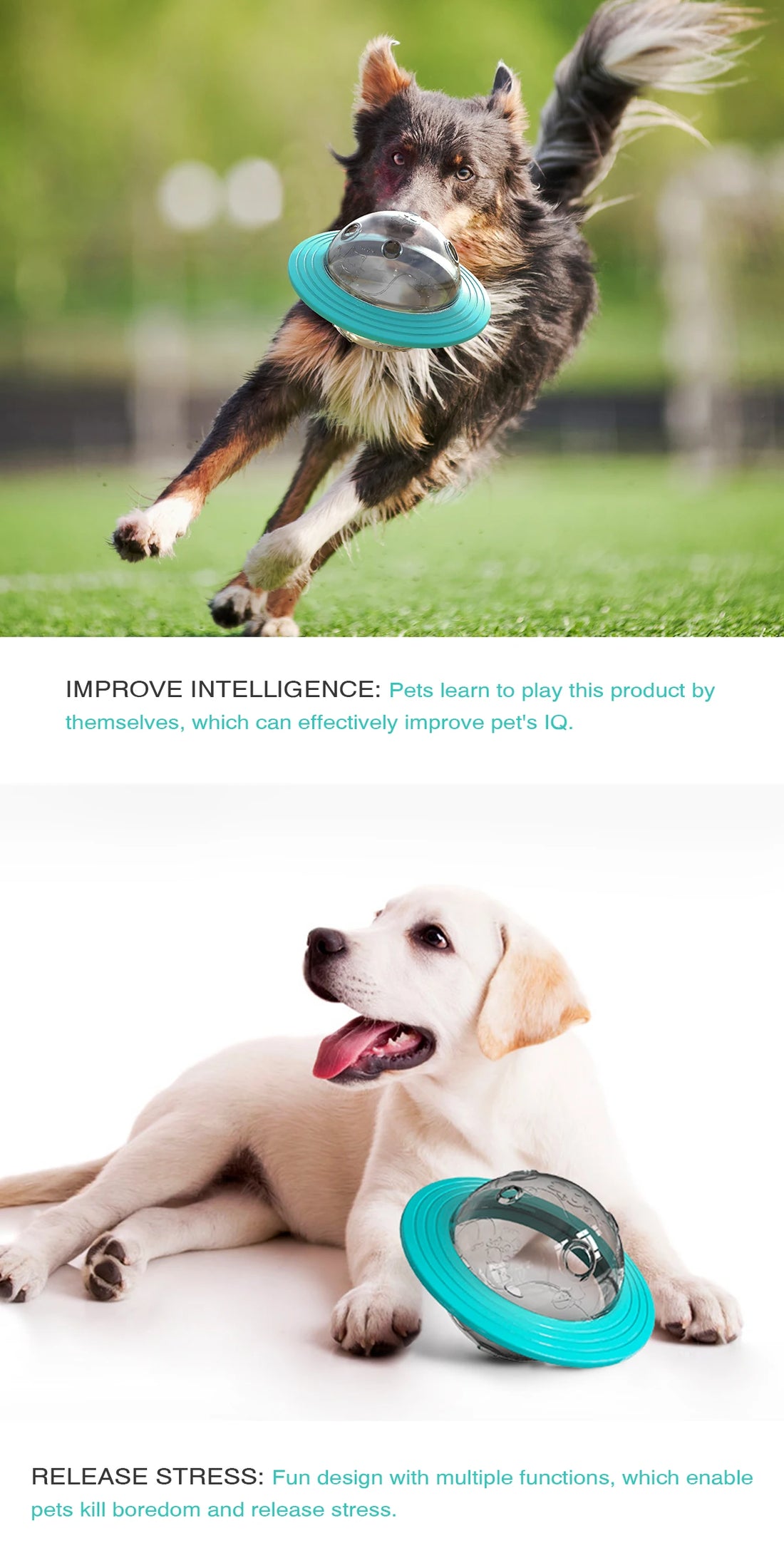 Dog Flying Disk Food Dispenser – Interactive Slow Feeder Toy 🥏🐾