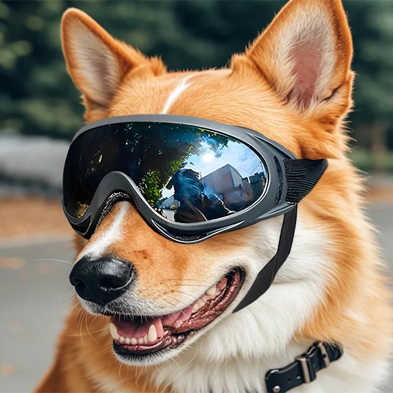 Dog Goggles – UV-Protective Windproof Sunglasses for Large Dogs