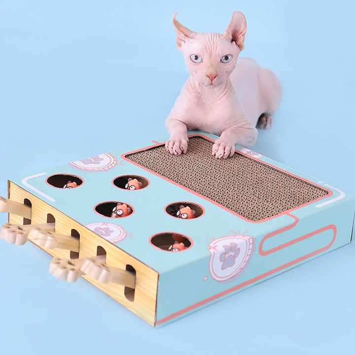 Interactive Cat Game Box Maze – 3-in-1 Whack-a-Mole, Scratcher & Treat Puzzle Toy