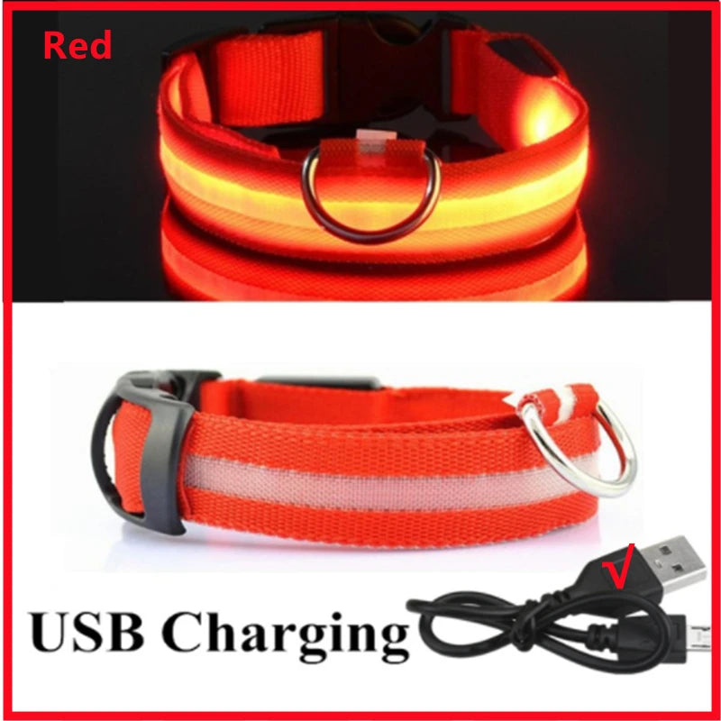 USB Rechargeable LED Glowing Pet Collar – Adjustable Night Light Safety Collar for Dogs & Cats