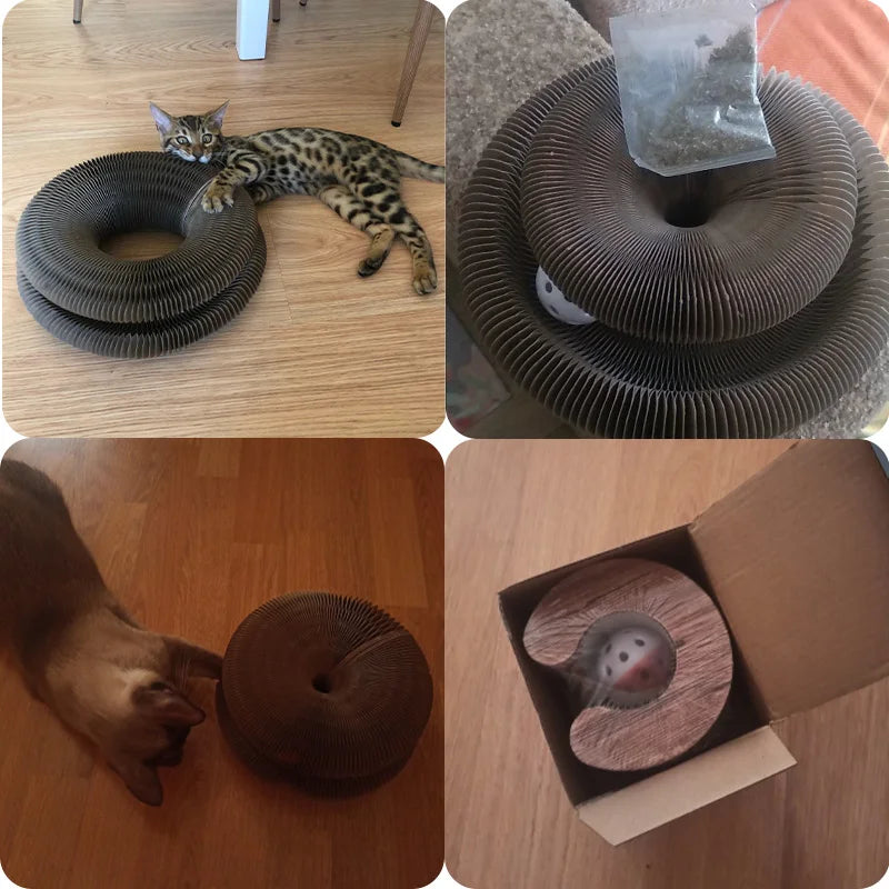 Magic Organ Cat Scratcher – Corrugated Round Claw Grinding Toy