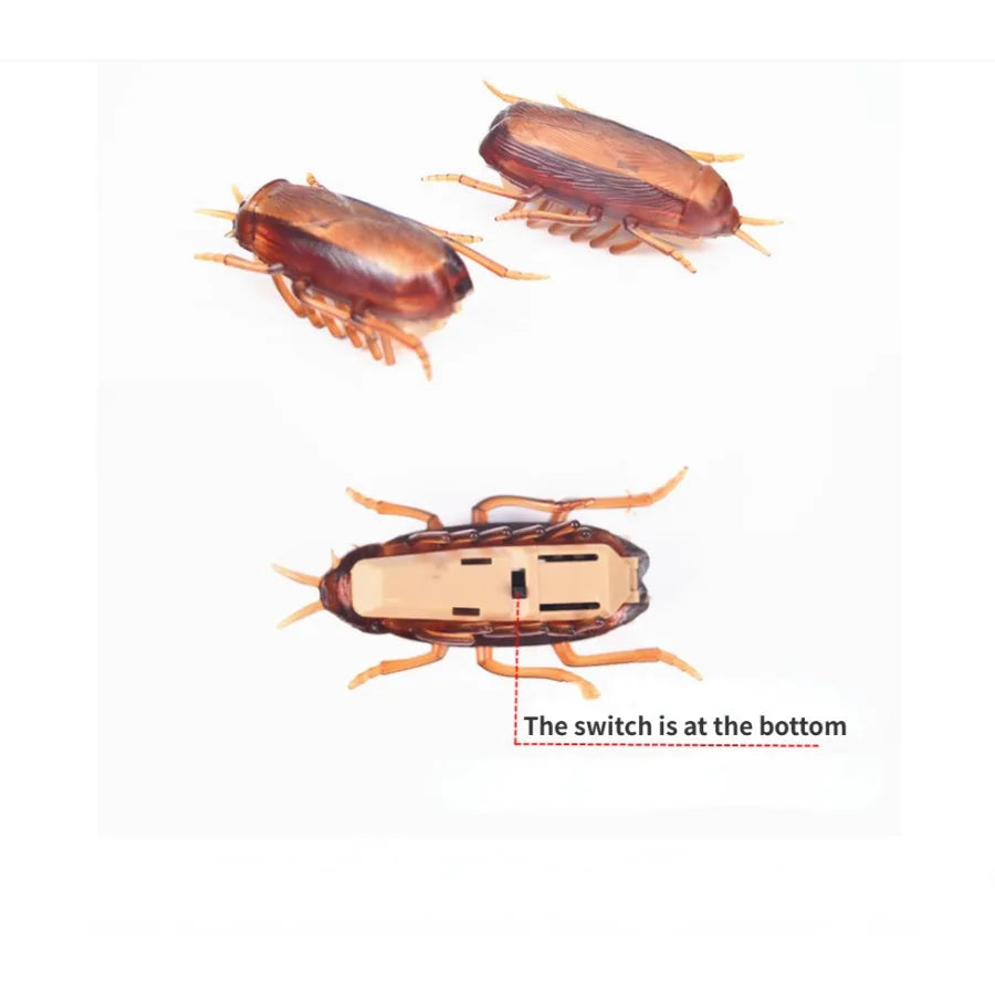 Funny Simulation Cockroach Toy – Interactive Training Play Toy for Cats & Dogs