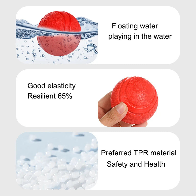 Indestructible Rubber Dog Ball – Durable Bouncy Chew Toy ⚽🐾