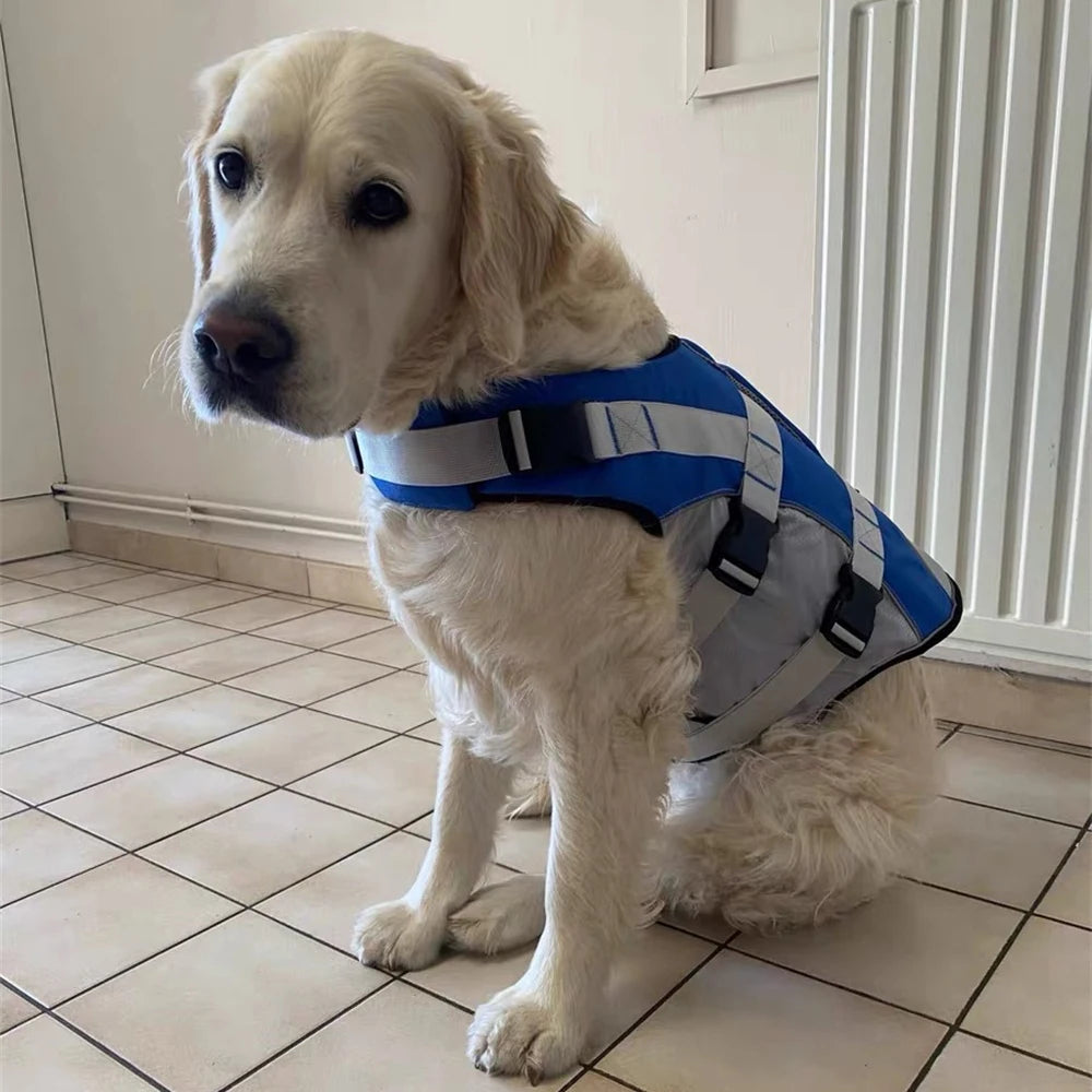🐶 Dog Life Jacket with Handle & Pull Ring – Summer Safety Swimsuit for Small & Medium Dogs