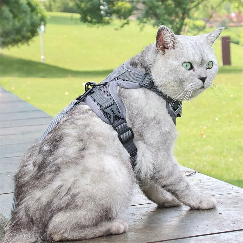 🐾 Fashion Reflective Cat Harness & Leash Set – Breathable Mesh for Cats & Small Dogs