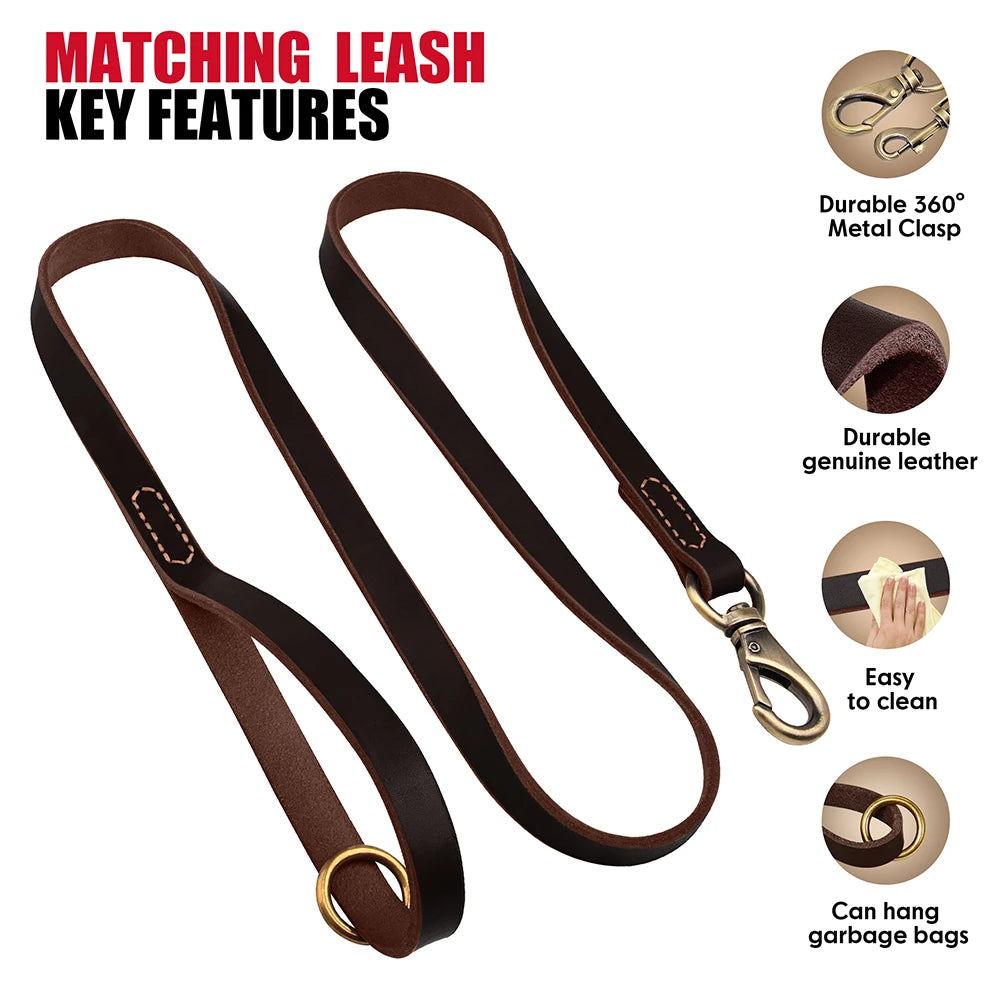 Personalized Leather Dog Collar & Leash Set – Engraved ID for Small to Large Dogs
