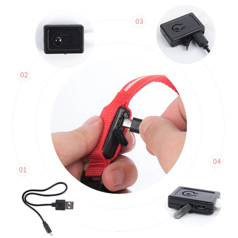 USB Rechargeable LED Glowing Pet Collar – Adjustable Night Light Safety Collar for Dogs & Cats