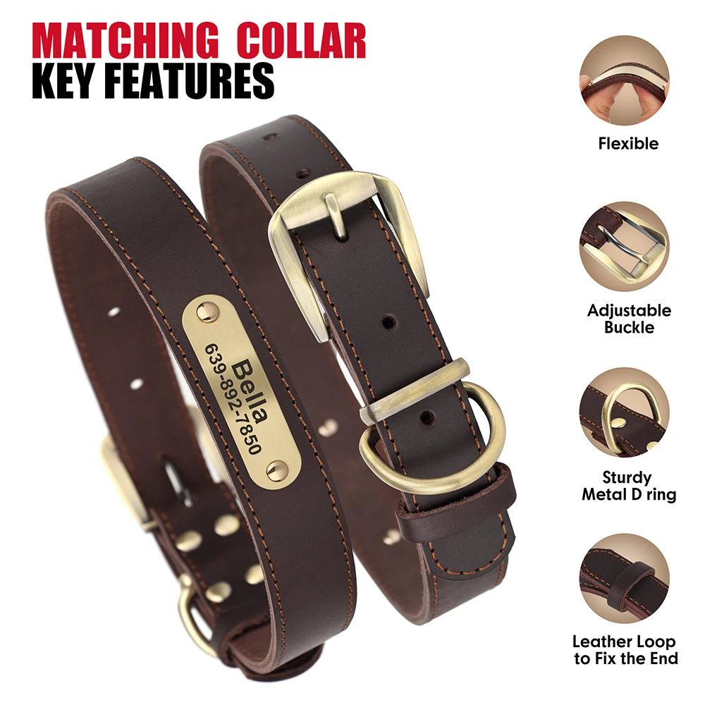 Personalized Leather Dog Collar & Leash Set – Engraved ID for Small to Large Dogs