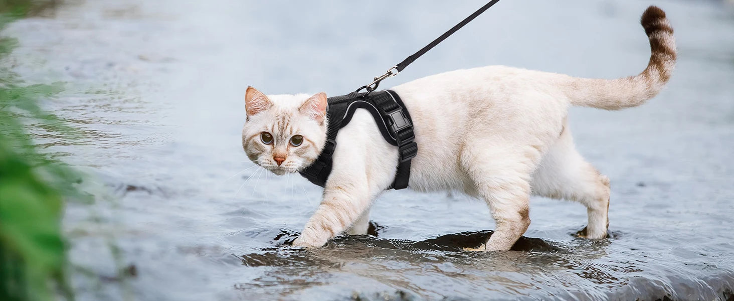 Cat Harness and Leash – Escape-Proof Soft Adjustable Vest with Easy Control