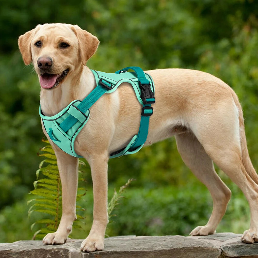 🐕 Mesh Breathable Reflective Dog Harness – Adjustable Nylon Training Vest for Small, Medium & Large Dogs