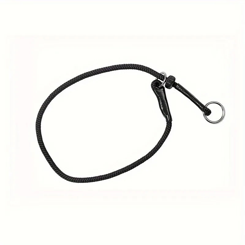 Polyester Dog Training Leash – Durable Adjustable Slip Loop Collar