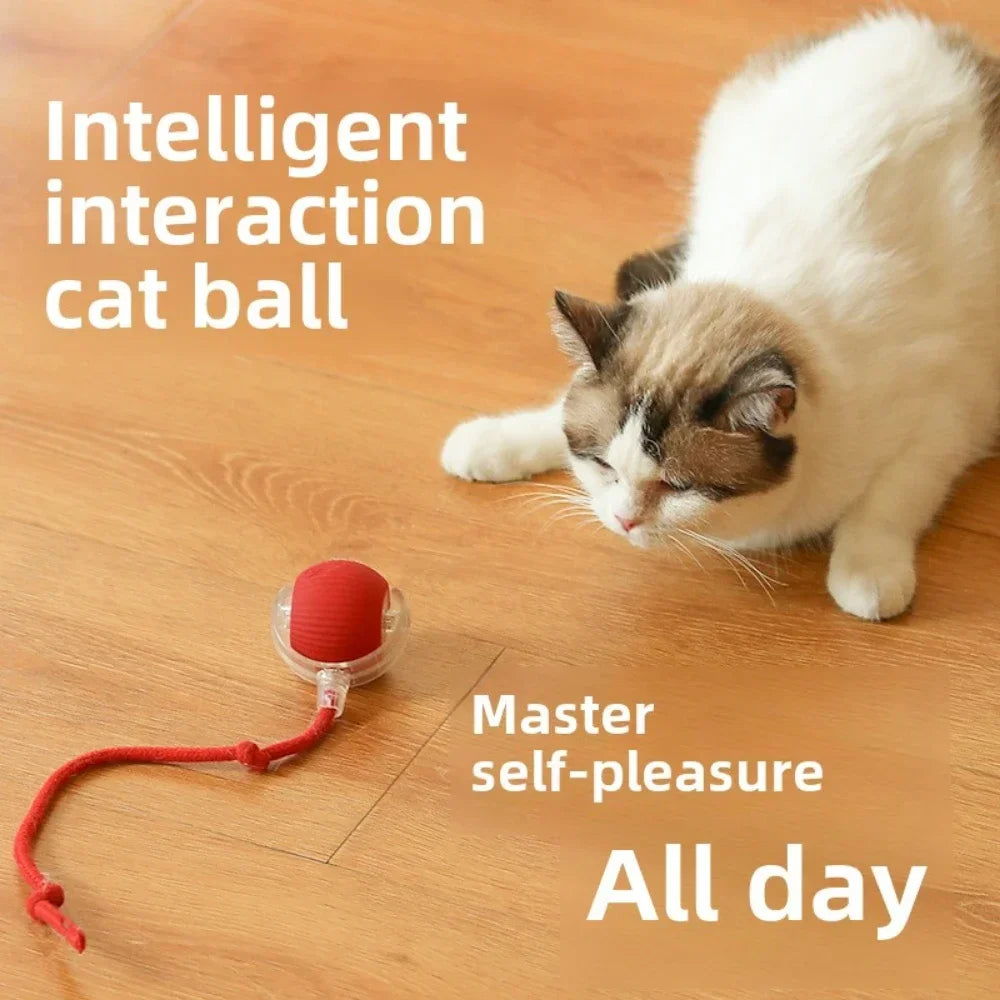 Smart Rolling Ball Toy – Rechargeable Interactive Toy for Cats & Dogs