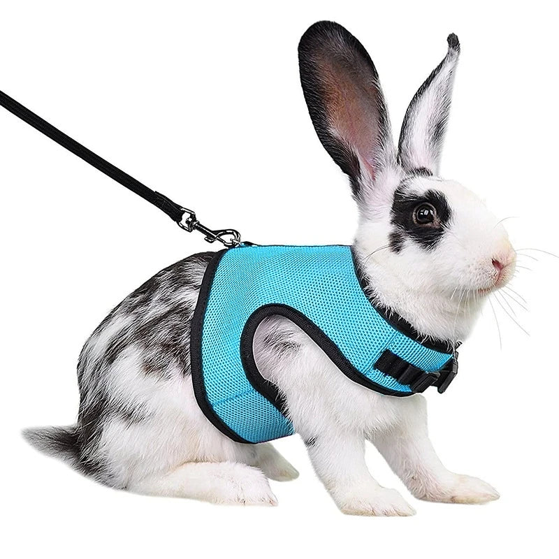Breathable Pet Vest Harness & Leash Set – Adjustable for Rabbits & Small Pets
