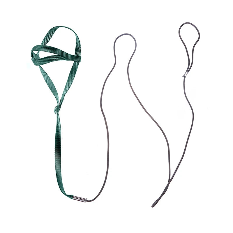 Bird Flying Training Leash – Anti-Bite Parrot Harness & Traction Rope
