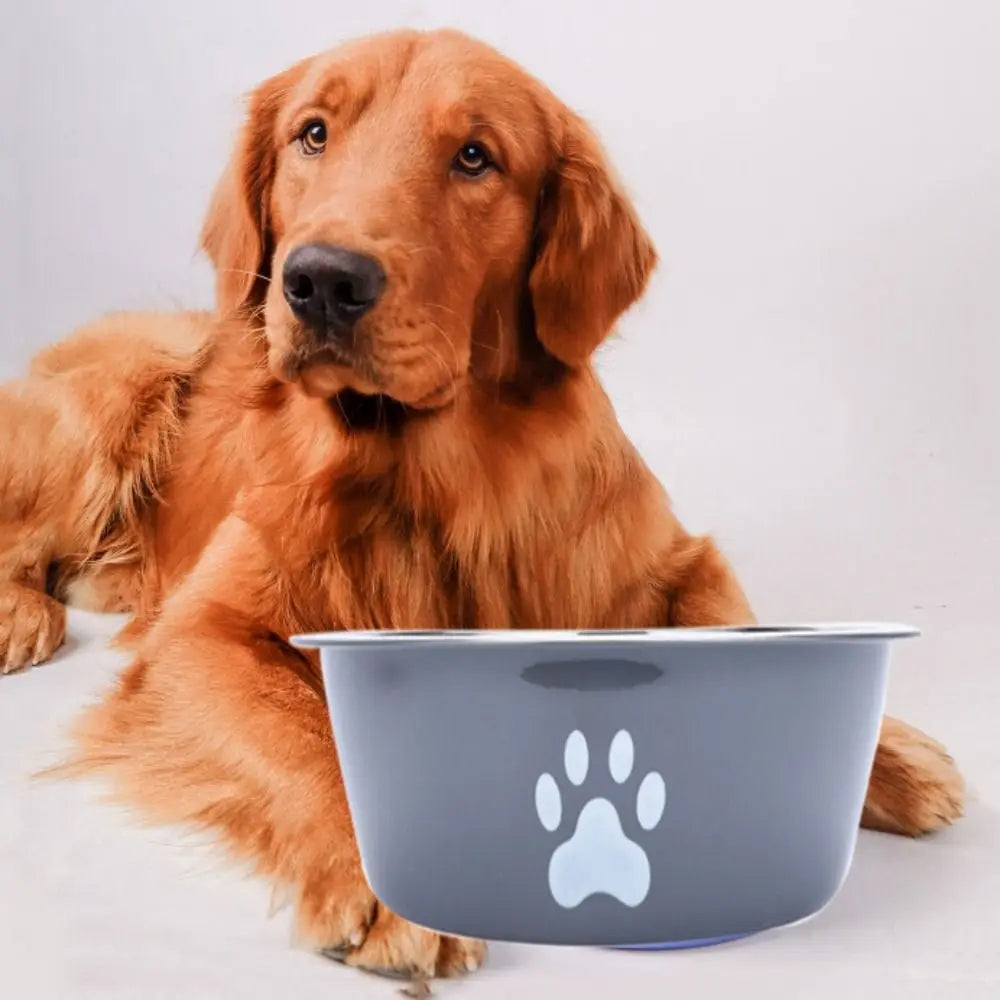 Large Capacity Stainless Steel Non-Slip Pet Bowl – Double-Layer Water & Food Bowl for Dogs & Cats