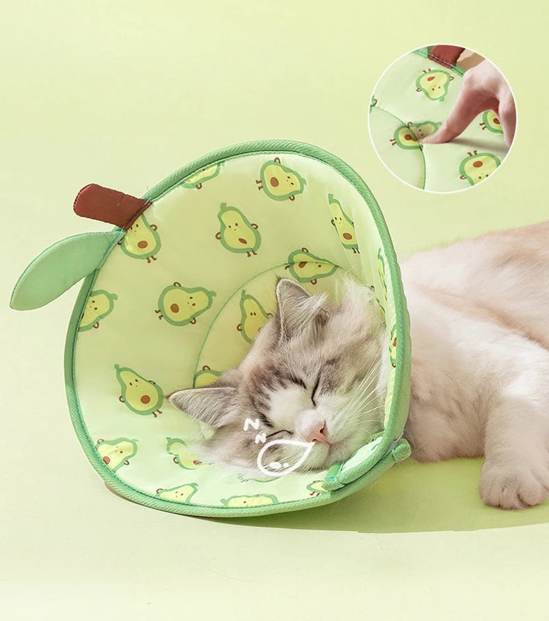 🩺 Pet Elizabethan Collar – Soft Recovery Cone for Cats & Small Dogs 🐶🐱