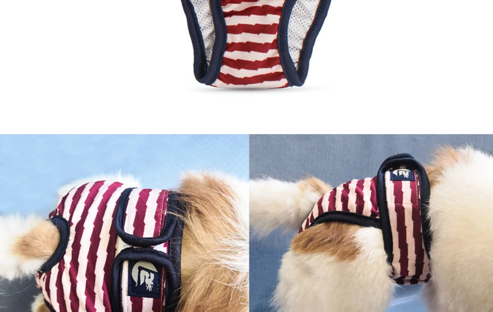 Washable Dog Diaper Shorts – Female Sanitary Panties for Menstruation