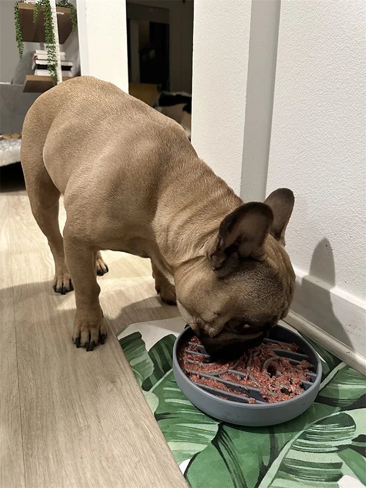 Slow Feeder Pet Bowl – Anti-Slip & Anti-Choking for Cats & Puppies 🐾🍽️