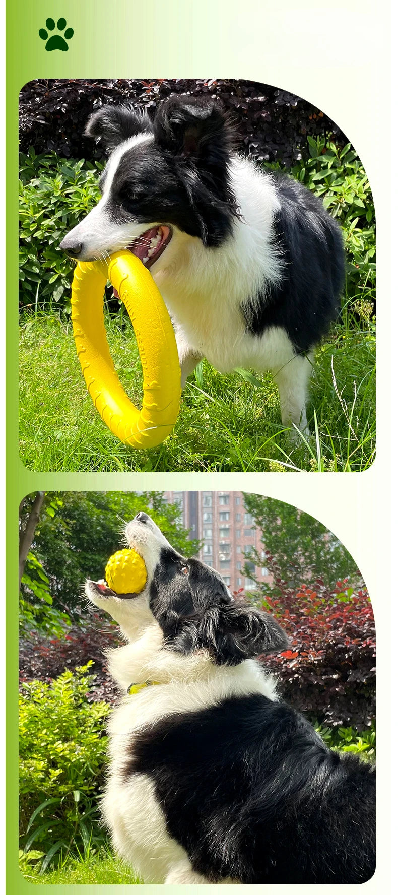 Dog Toys Pet Flying Discs / Training Ring