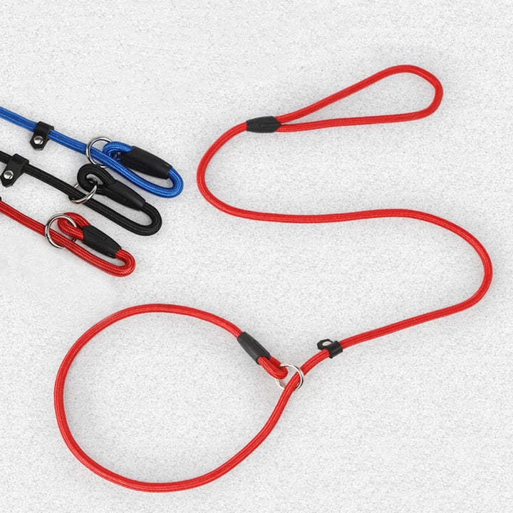 Nylon Slip Rope Dog Leash – No-Pull Training Lead for Small Dogs