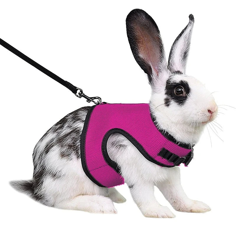 Breathable Pet Vest Harness & Leash Set – Adjustable for Rabbits & Small Pets