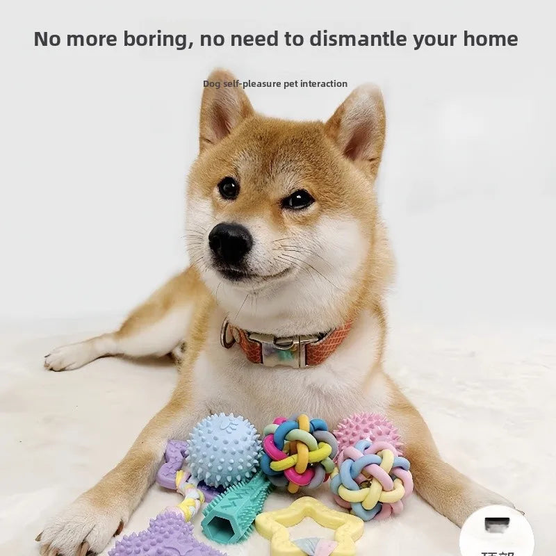 Rubber Chew Ball – Interactive Tooth Cleaning Toy for Dogs & Cats