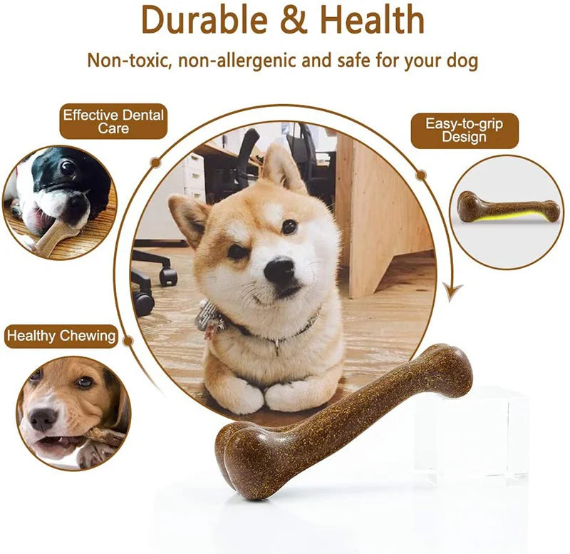 🦴 Dog Bone Chew Toy – Nearly Indestructible, Non-Toxic & Natural Dental Toy for All Dogs 💪🐾