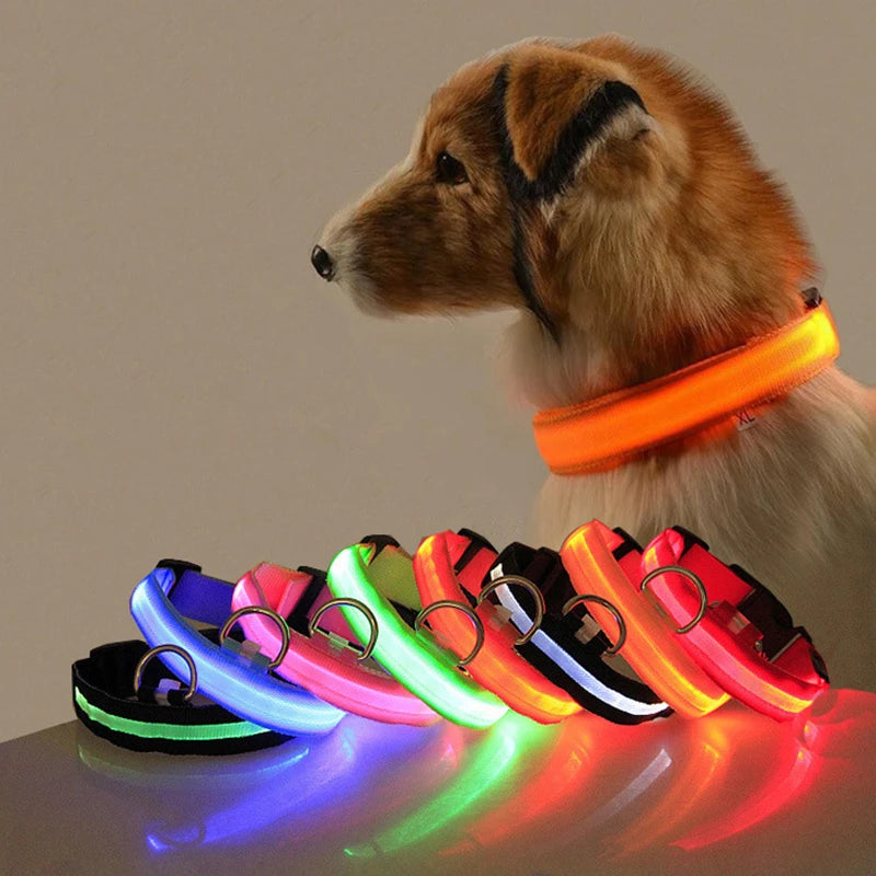 LED Dog Collar Light – USB Rechargeable/Battery Night Safety Glow Collar for Dogs & Puppies, Anti-Lost Pet Accessory