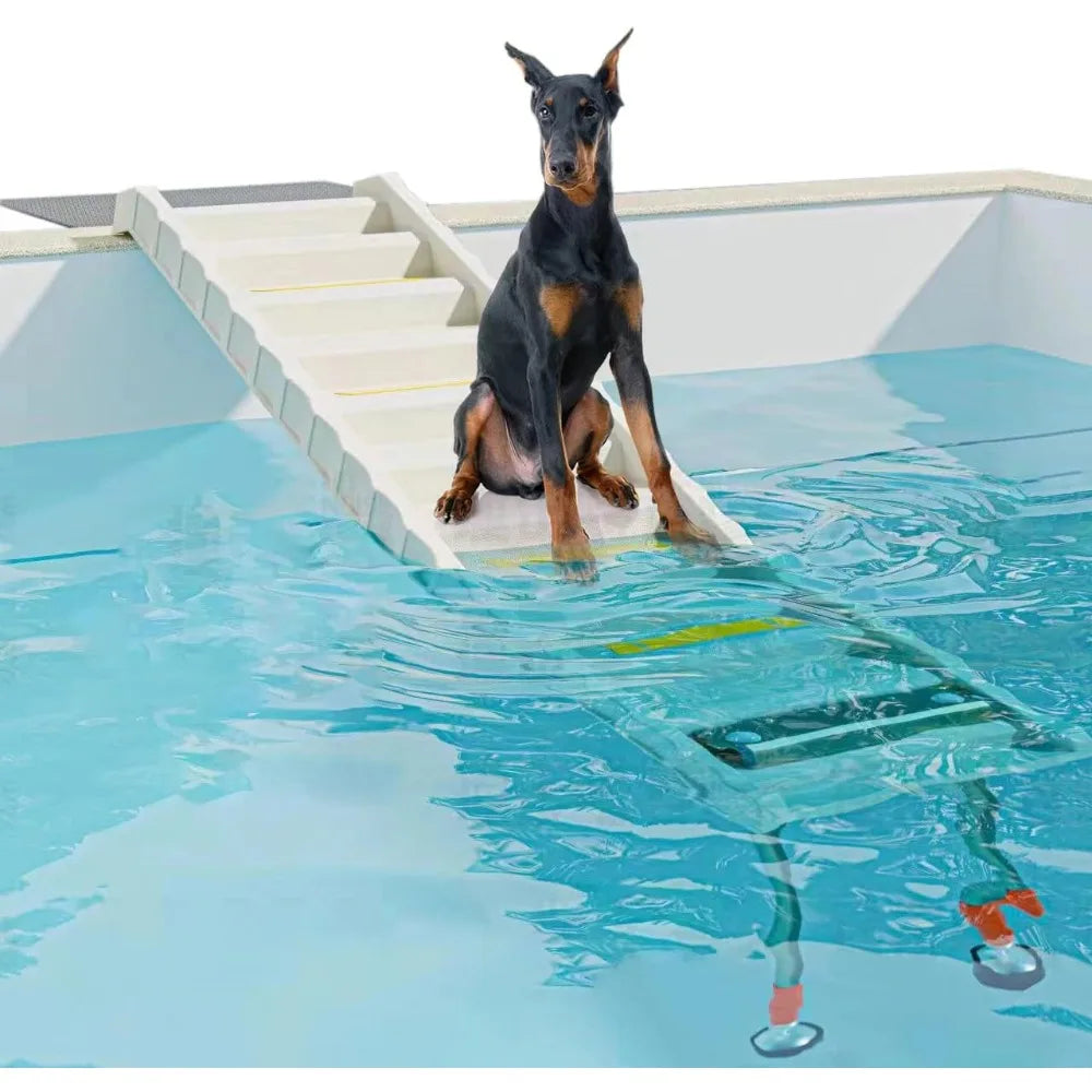 Foldable Dog Pool Ramp – Adjustable Water Ramp for Safe Pet Swimming
