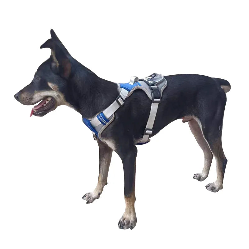 🐾 Personalized Nylon Adjustable Dog Harness – Reflective, Breathable Vest with Leash for Small, Medium & Large Dogs