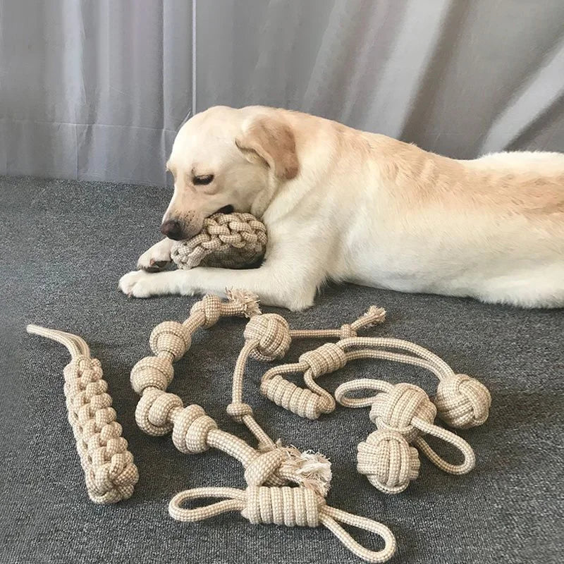 Knot Chew Toy – Teeth Cleaning & Interactive Play for Pets 🪢🐾