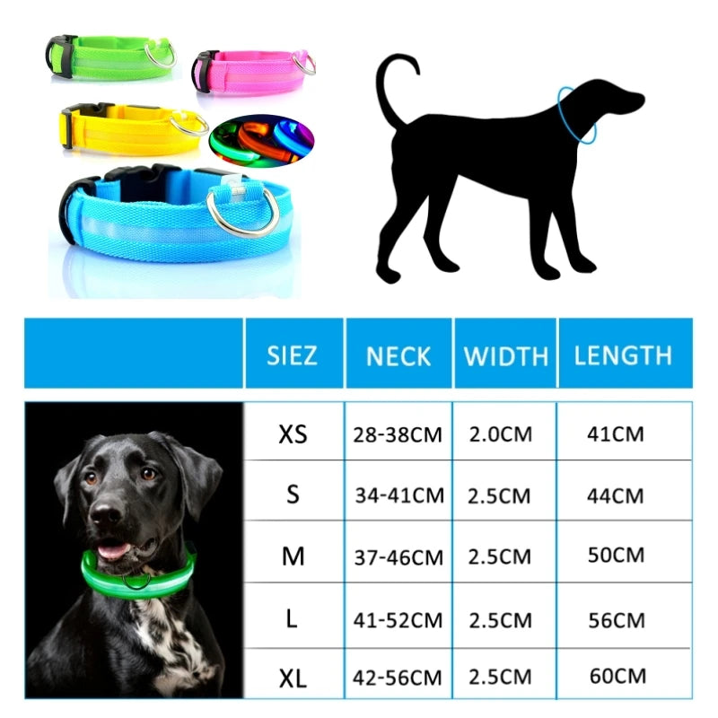 LED Dog Collar Light – USB Rechargeable/Battery Night Safety Glow Collar for Dogs & Puppies, Anti-Lost Pet Accessory