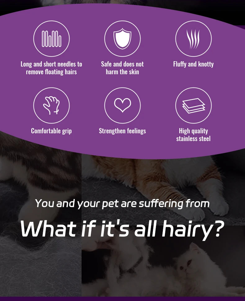 Fenice Cat Grooming Comb – Stainless Steel Pins