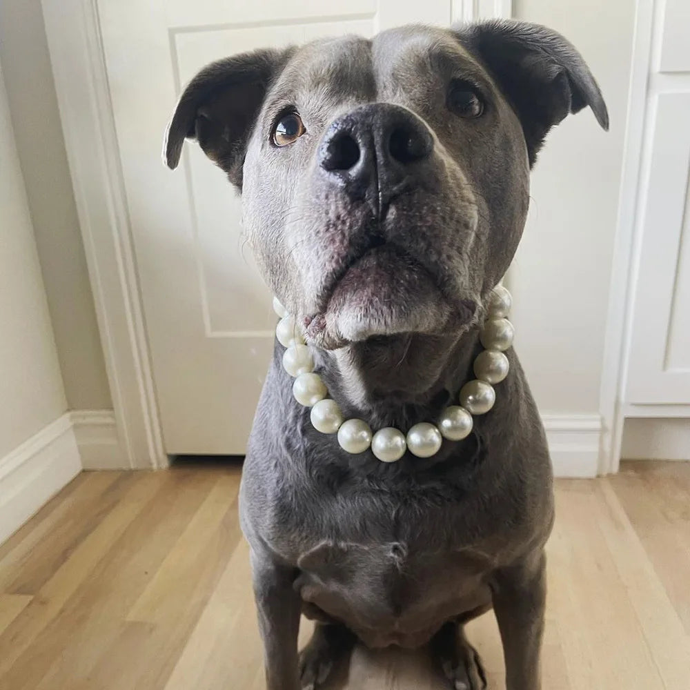 Elegant Imitation Pearl Pet Collar – Durable Decorative Necklace for Small Dogs & Cats