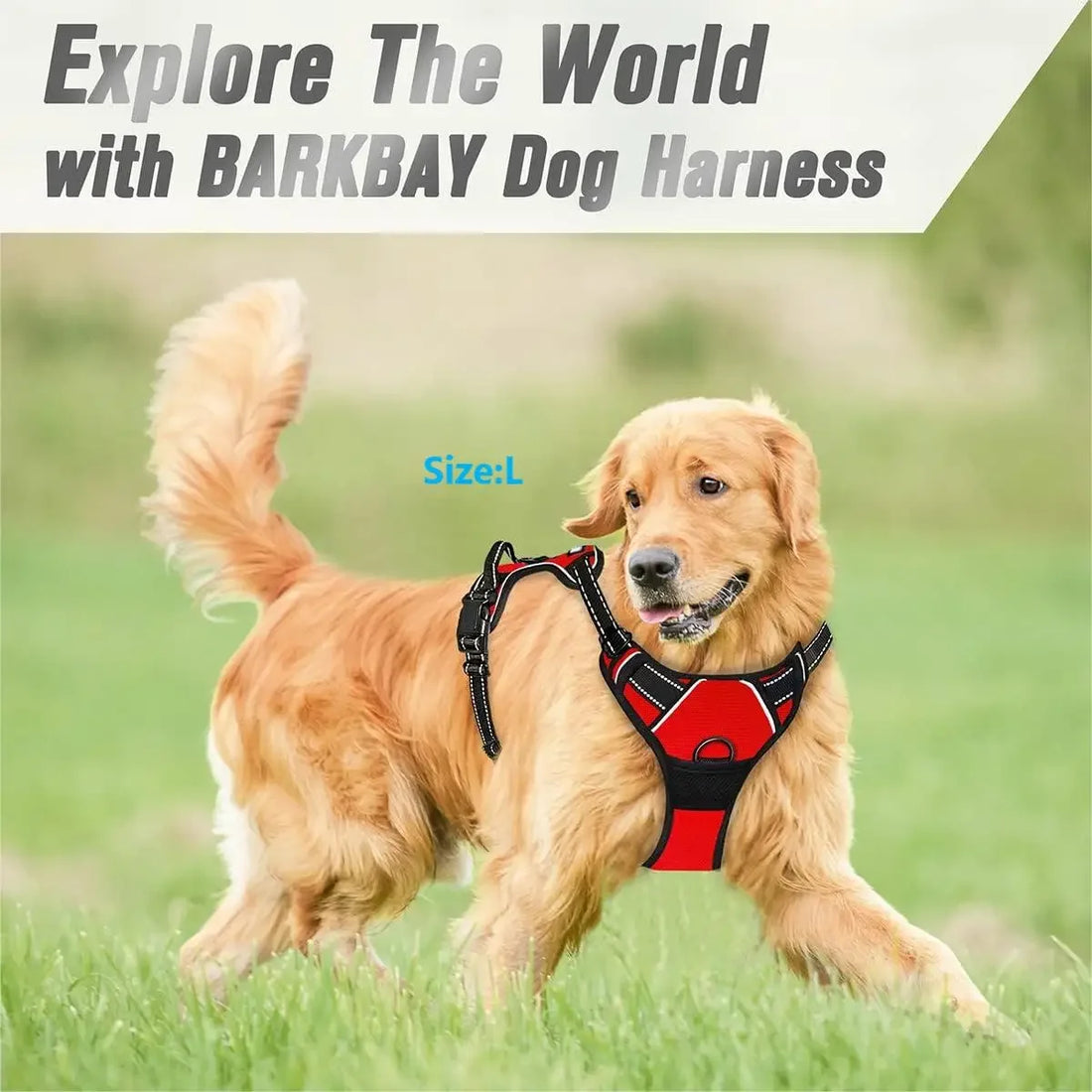 🐕 Heavy Duty No Pull Dog Harness – Front Clip, Reflective, with Easy-Control Handle