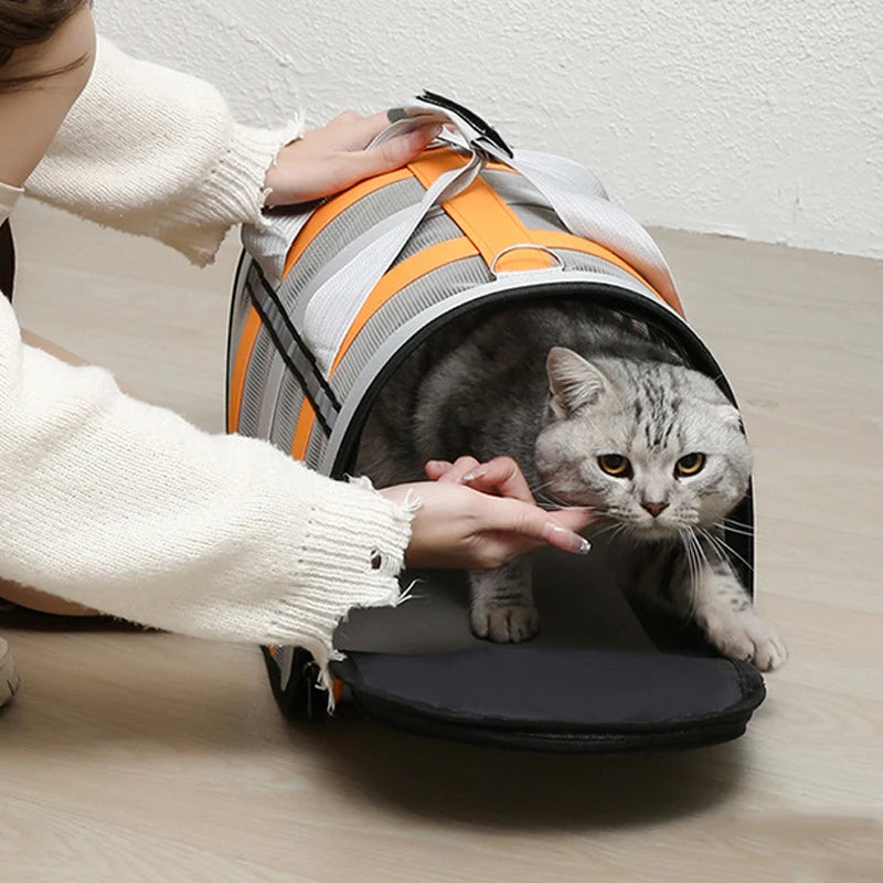 Foldable Pet Carrying Bag – Portable Mesh Handbag for Small to Medium Dogs & Cats